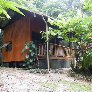 3* Bed & Breakfast Epiphyte